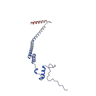 12921_7oi8_q_v1-1
Cryo-EM structure of late human 39S mitoribosome assembly intermediates, state 3A