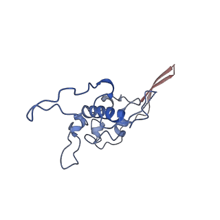 12921_7oi8_r_v1-1
Cryo-EM structure of late human 39S mitoribosome assembly intermediates, state 3A