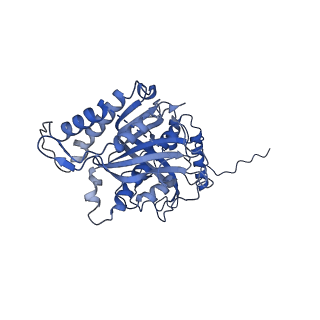 12921_7oi8_s_v1-1
Cryo-EM structure of late human 39S mitoribosome assembly intermediates, state 3A