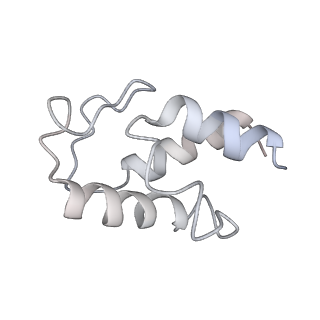 12921_7oi8_w_v1-1
Cryo-EM structure of late human 39S mitoribosome assembly intermediates, state 3A