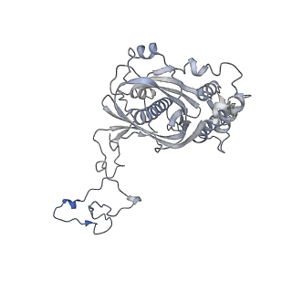 12922_7oi9_5_v1-1
Cryo-EM structure of late human 39S mitoribosome assembly intermediates, state 3B