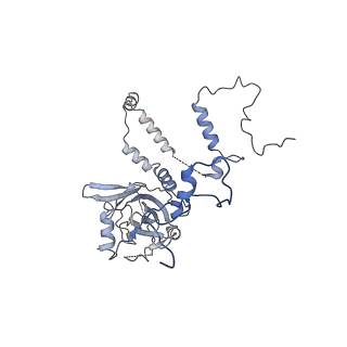 12922_7oi9_6_v1-1
Cryo-EM structure of late human 39S mitoribosome assembly intermediates, state 3B