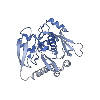 12922_7oi9_7_v1-1
Cryo-EM structure of late human 39S mitoribosome assembly intermediates, state 3B