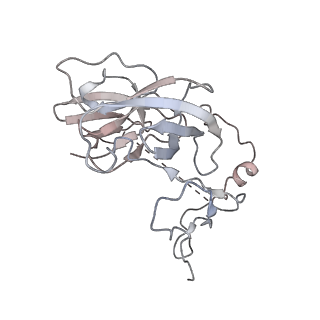 12922_7oi9_D_v1-1
Cryo-EM structure of late human 39S mitoribosome assembly intermediates, state 3B