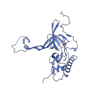 12922_7oi9_E_v1-1
Cryo-EM structure of late human 39S mitoribosome assembly intermediates, state 3B