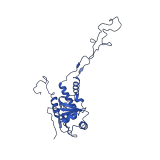 12922_7oi9_F_v1-1
Cryo-EM structure of late human 39S mitoribosome assembly intermediates, state 3B