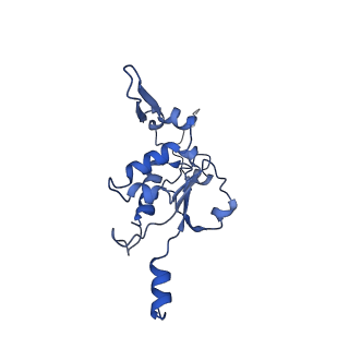 12922_7oi9_K_v1-1
Cryo-EM structure of late human 39S mitoribosome assembly intermediates, state 3B
