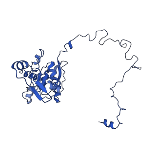 12922_7oi9_M_v1-1
Cryo-EM structure of late human 39S mitoribosome assembly intermediates, state 3B