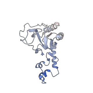 12922_7oi9_N_v1-1
Cryo-EM structure of late human 39S mitoribosome assembly intermediates, state 3B
