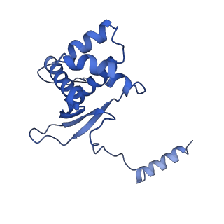12922_7oi9_O_v1-1
Cryo-EM structure of late human 39S mitoribosome assembly intermediates, state 3B