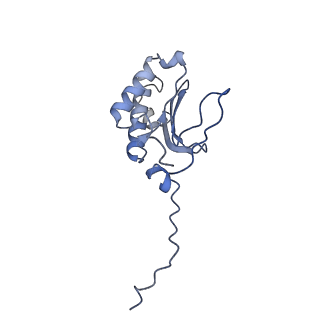 12922_7oi9_P_v1-1
Cryo-EM structure of late human 39S mitoribosome assembly intermediates, state 3B