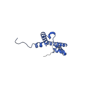 12922_7oi9_R_v1-1
Cryo-EM structure of late human 39S mitoribosome assembly intermediates, state 3B