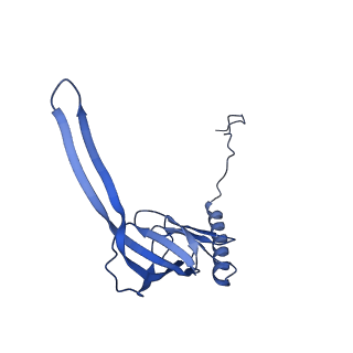 12922_7oi9_S_v1-1
Cryo-EM structure of late human 39S mitoribosome assembly intermediates, state 3B