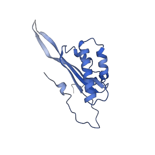 12922_7oi9_T_v1-1
Cryo-EM structure of late human 39S mitoribosome assembly intermediates, state 3B