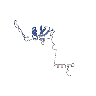 12922_7oi9_U_v1-1
Cryo-EM structure of late human 39S mitoribosome assembly intermediates, state 3B