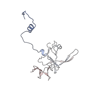 12922_7oi9_V_v1-1
Cryo-EM structure of late human 39S mitoribosome assembly intermediates, state 3B