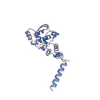 12922_7oi9_X_v1-1
Cryo-EM structure of late human 39S mitoribosome assembly intermediates, state 3B