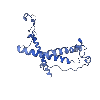 12922_7oi9_Y_v1-1
Cryo-EM structure of late human 39S mitoribosome assembly intermediates, state 3B