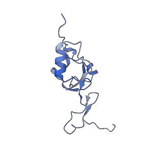 12922_7oi9_Z_v1-1
Cryo-EM structure of late human 39S mitoribosome assembly intermediates, state 3B