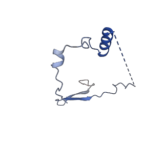 12922_7oi9_a_v1-1
Cryo-EM structure of late human 39S mitoribosome assembly intermediates, state 3B