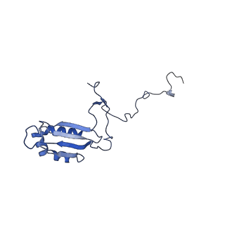 12922_7oi9_b_v1-1
Cryo-EM structure of late human 39S mitoribosome assembly intermediates, state 3B