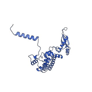 12922_7oi9_c_v1-1
Cryo-EM structure of late human 39S mitoribosome assembly intermediates, state 3B
