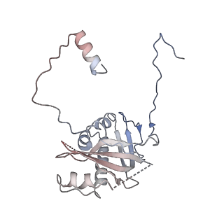 12922_7oi9_d_v1-1
Cryo-EM structure of late human 39S mitoribosome assembly intermediates, state 3B