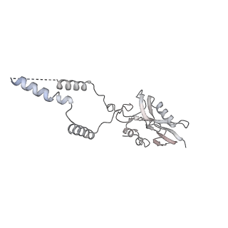 12922_7oi9_e_v1-1
Cryo-EM structure of late human 39S mitoribosome assembly intermediates, state 3B