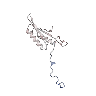 12922_7oi9_f_v1-1
Cryo-EM structure of late human 39S mitoribosome assembly intermediates, state 3B