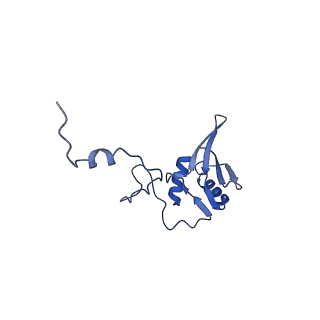 12922_7oi9_g_v1-1
Cryo-EM structure of late human 39S mitoribosome assembly intermediates, state 3B