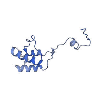 12922_7oi9_h_v1-1
Cryo-EM structure of late human 39S mitoribosome assembly intermediates, state 3B
