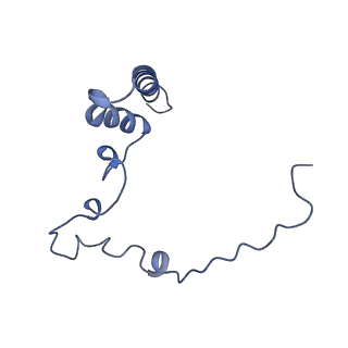 12922_7oi9_i_v1-1
Cryo-EM structure of late human 39S mitoribosome assembly intermediates, state 3B
