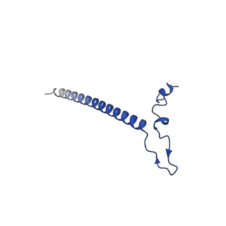 12922_7oi9_j_v1-1
Cryo-EM structure of late human 39S mitoribosome assembly intermediates, state 3B
