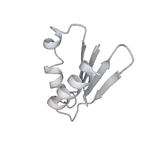 12922_7oi9_k_v1-1
Cryo-EM structure of late human 39S mitoribosome assembly intermediates, state 3B