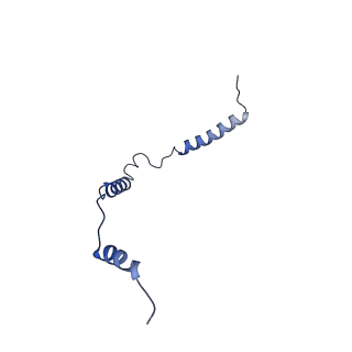 12922_7oi9_o_v1-1
Cryo-EM structure of late human 39S mitoribosome assembly intermediates, state 3B