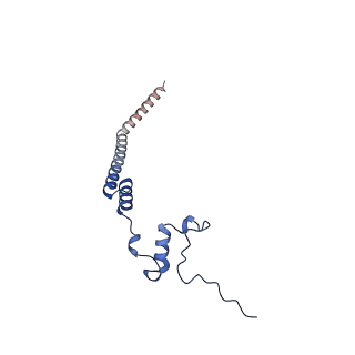 12922_7oi9_q_v1-1
Cryo-EM structure of late human 39S mitoribosome assembly intermediates, state 3B