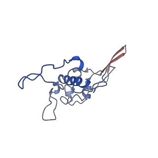 12922_7oi9_r_v1-1
Cryo-EM structure of late human 39S mitoribosome assembly intermediates, state 3B