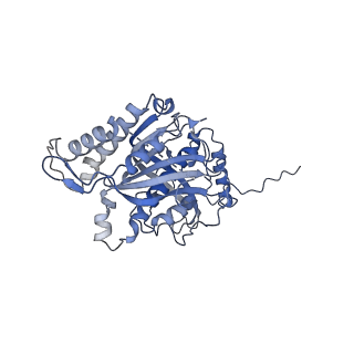 12922_7oi9_s_v1-1
Cryo-EM structure of late human 39S mitoribosome assembly intermediates, state 3B
