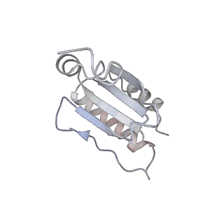 12922_7oi9_u_v1-1
Cryo-EM structure of late human 39S mitoribosome assembly intermediates, state 3B