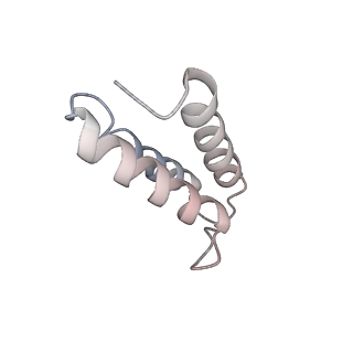 12922_7oi9_v_v1-1
Cryo-EM structure of late human 39S mitoribosome assembly intermediates, state 3B