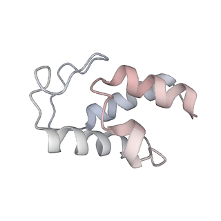 12922_7oi9_w_v1-1
Cryo-EM structure of late human 39S mitoribosome assembly intermediates, state 3B
