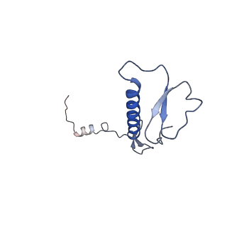 12923_7oia_0_v1-1
Cryo-EM structure of late human 39S mitoribosome assembly intermediates, state 3C