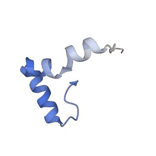 12923_7oia_2_v1-1
Cryo-EM structure of late human 39S mitoribosome assembly intermediates, state 3C