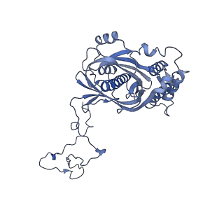 12923_7oia_5_v1-1
Cryo-EM structure of late human 39S mitoribosome assembly intermediates, state 3C