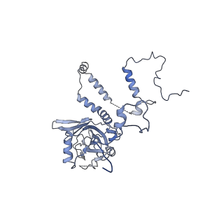 12923_7oia_6_v1-1
Cryo-EM structure of late human 39S mitoribosome assembly intermediates, state 3C
