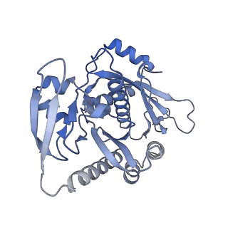 12923_7oia_7_v1-1
Cryo-EM structure of late human 39S mitoribosome assembly intermediates, state 3C