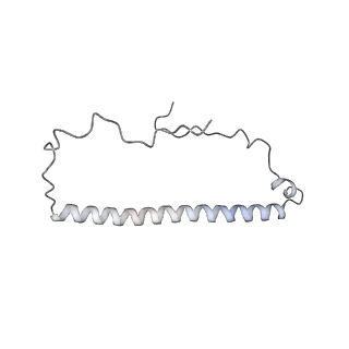12923_7oia_8_v1-1
Cryo-EM structure of late human 39S mitoribosome assembly intermediates, state 3C
