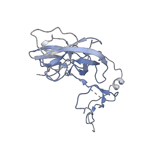 12923_7oia_D_v1-1
Cryo-EM structure of late human 39S mitoribosome assembly intermediates, state 3C