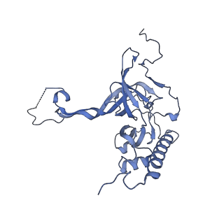 12923_7oia_E_v1-1
Cryo-EM structure of late human 39S mitoribosome assembly intermediates, state 3C