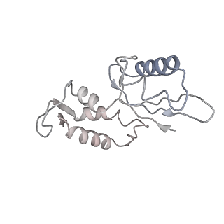 12923_7oia_J_v1-1
Cryo-EM structure of late human 39S mitoribosome assembly intermediates, state 3C